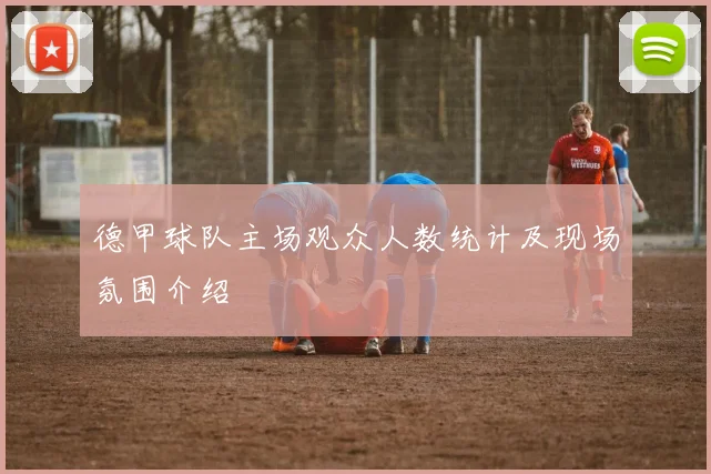 德甲球队主场观众人数统计及现场氛围介绍