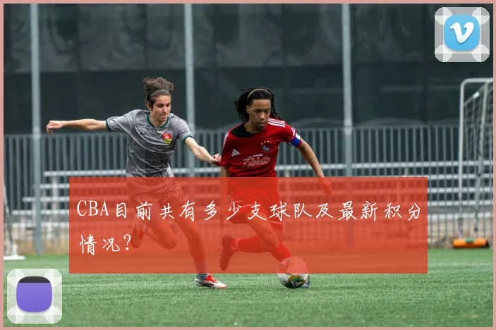 CBA目前共有多少支球队及最新积分情况？