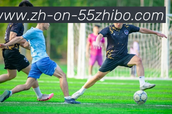 55直播平台生态图